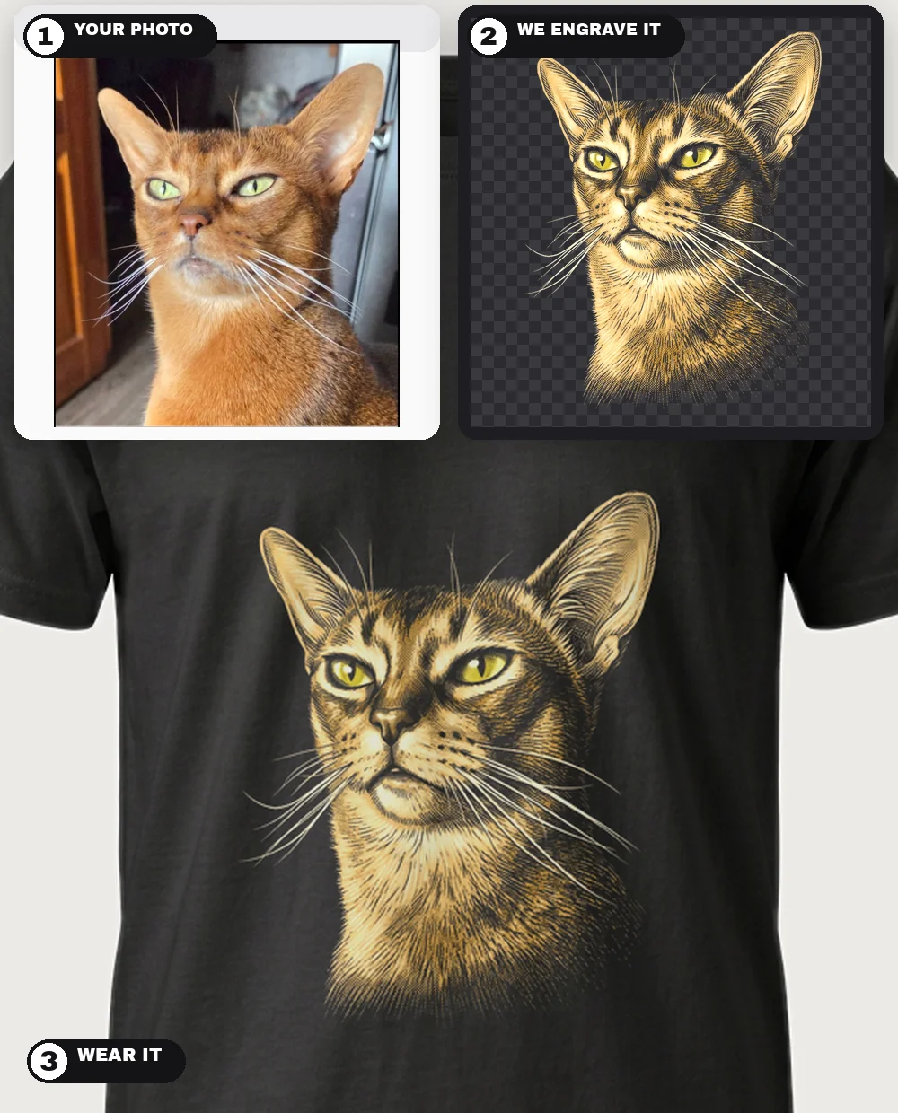 A cat photo engraved in the Classic atmosphere — warm cream crosshatch linework, no effects — worn on a black tee — three-step collage